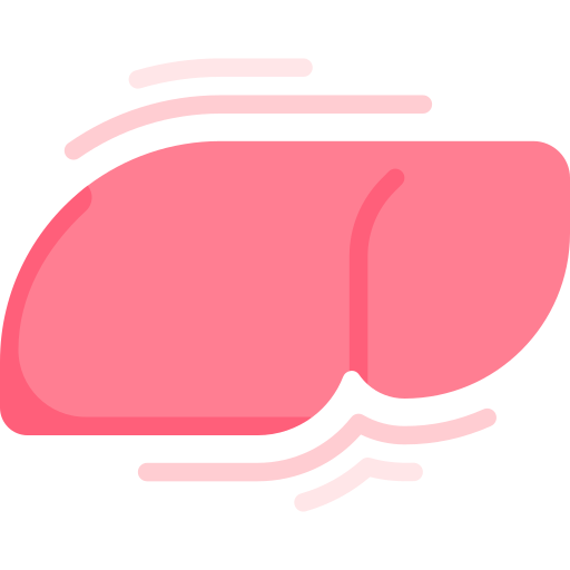 hígado Special Flat icono