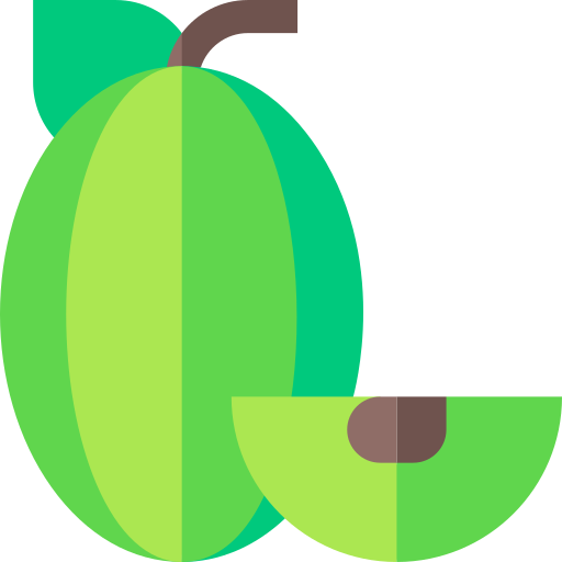 Gooseberry Basic Straight Flat icon