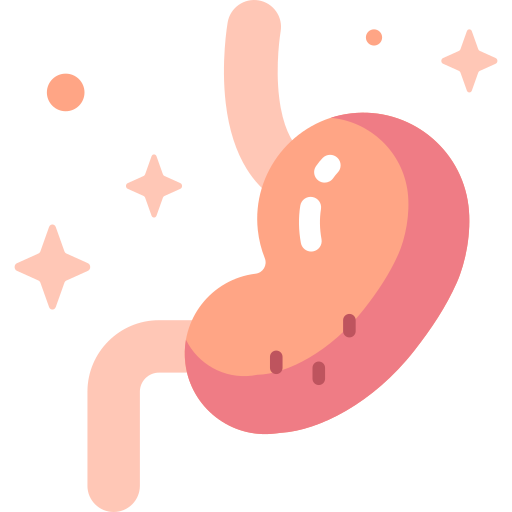 Stomach Special Candy Flat icon