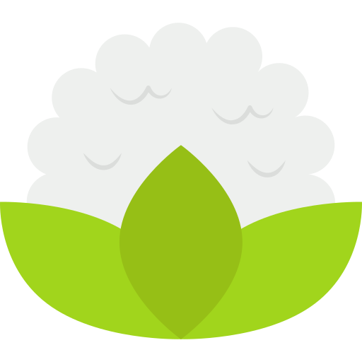 coliflor Generic Flat icono