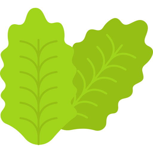 lechuga Generic Flat icono