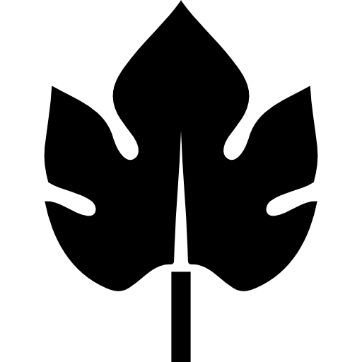 forme de partie de plante feuille  Icône
