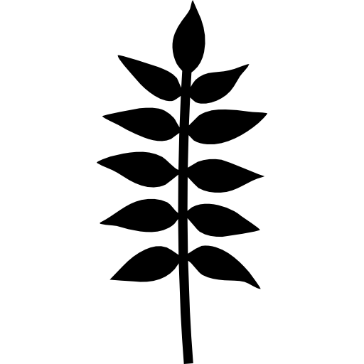 rama de planta con hojas  icono