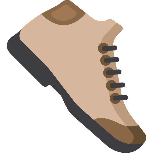 scarpe Special Flat icona