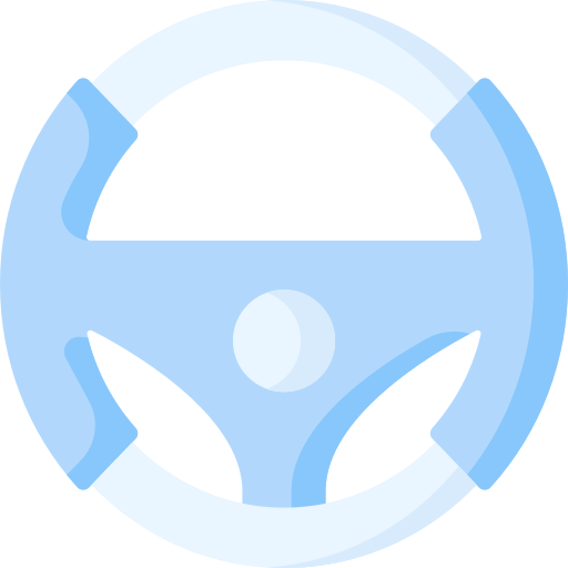 Steering Special Flat icon