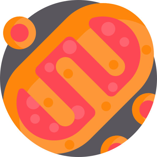 Mitochondria Detailed Flat Circular Flat icon