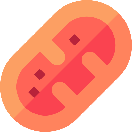 mitochondria Basic Straight Flat ikona