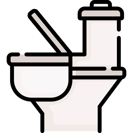 Toilet Special Lineal color icon