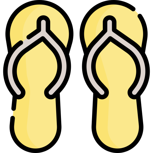 flip flops Special Lineal color icon