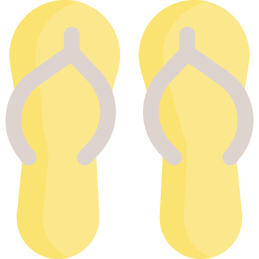 Flip flops Special Flat icon