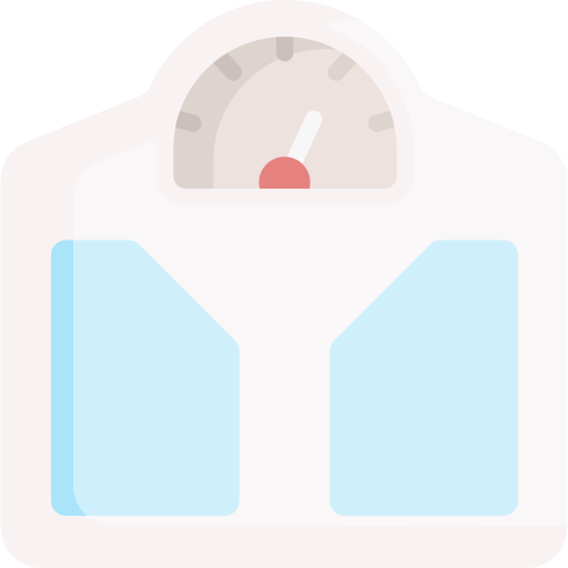escala de peso Special Flat icono