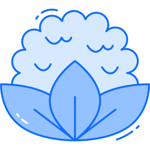 カリフラワー Generic Blue icon
