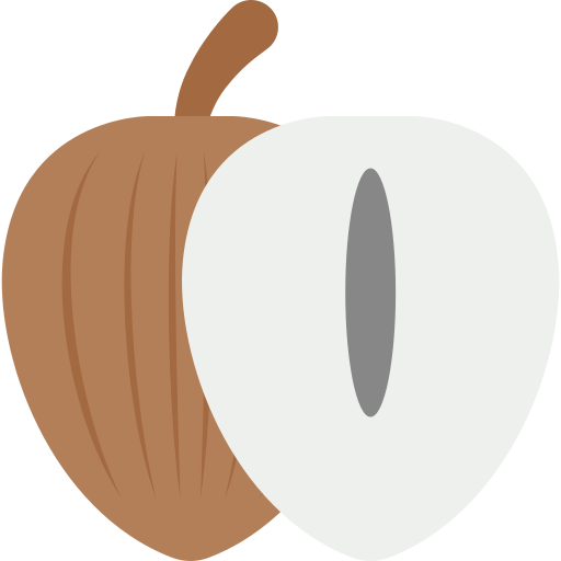 sapodilla Generic Flat icoon
