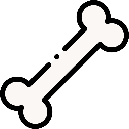 Bone Detailed Rounded Lineal color icon