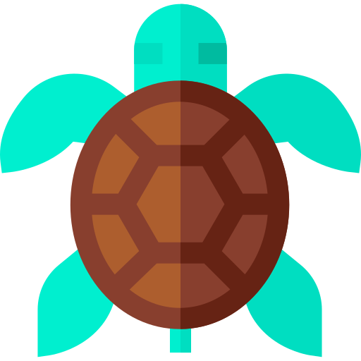Черепаха Basic Straight Flat иконка