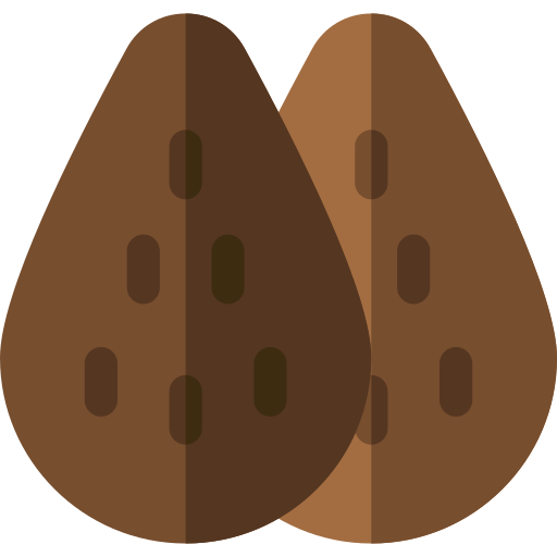 Almonds Basic Rounded Flat icon