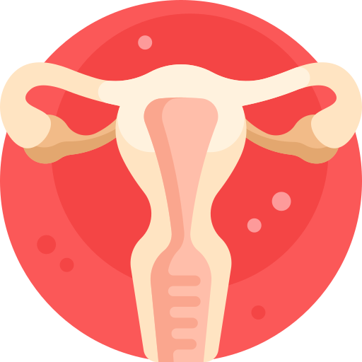 uterus Detailed Flat Circular Flat icon