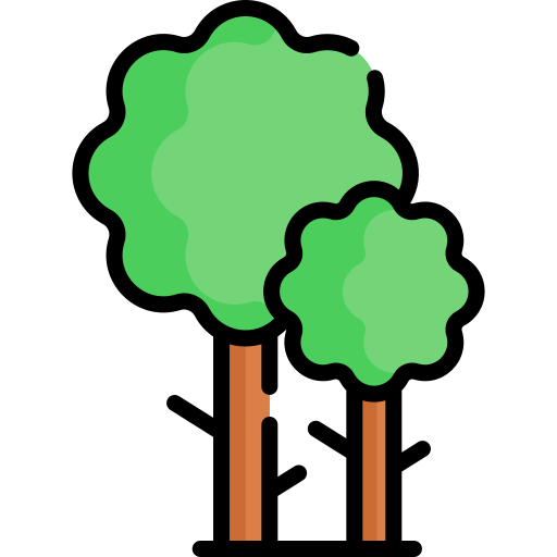 Дерево Special Lineal color иконка