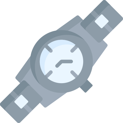 Wristwatch Special Flat icon