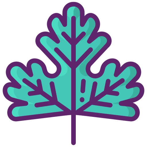 Coriander Flaticons Lineal Color icon