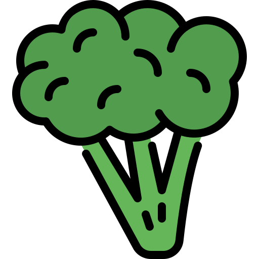 Broccoli Generic Outline Color icon