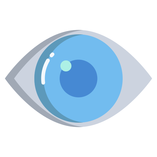 Eye Icongeek26 Flat icon