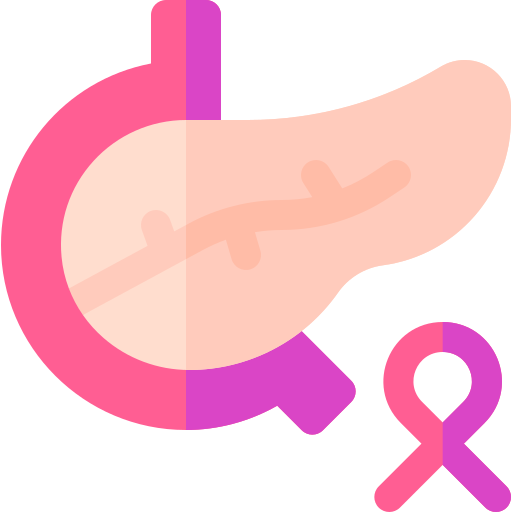 Pancreas Basic Rounded Flat icon