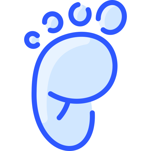 Footprint Vitaliy Gorbachev Blue icon