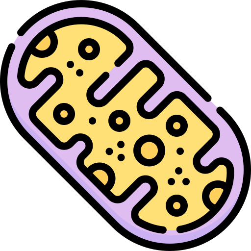 mitocondri Special Lineal color icona