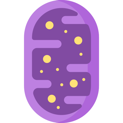 mitochondria Special Flat ikona
