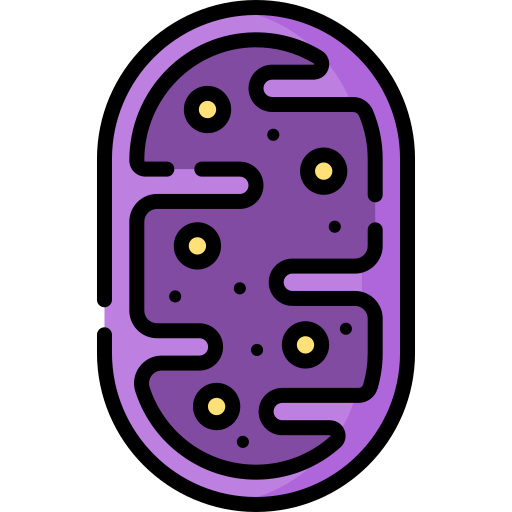 Mitochondria Special Lineal color icon