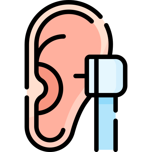 Auditory Special Lineal color icon