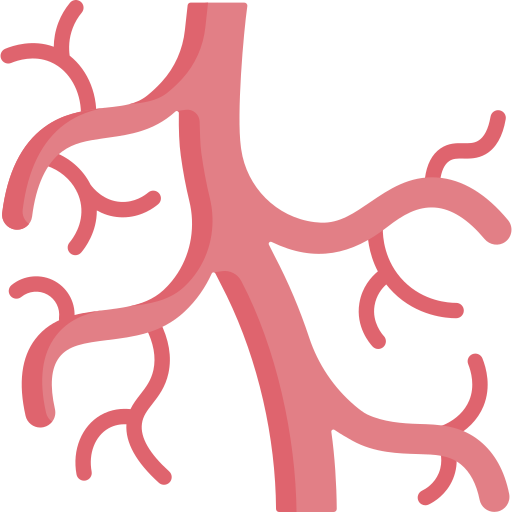 Vascular Special Flat icon