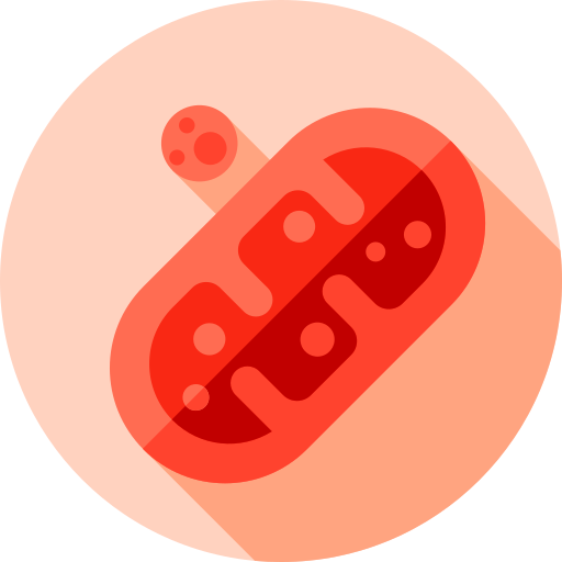 Mitochondria Flat Circular Flat icon