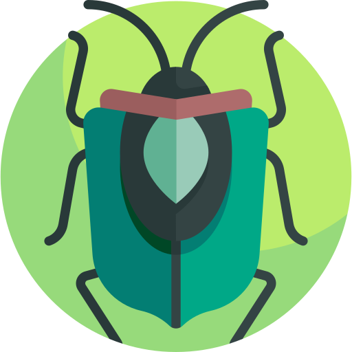 Stink bug Detailed Flat Circular Flat icon