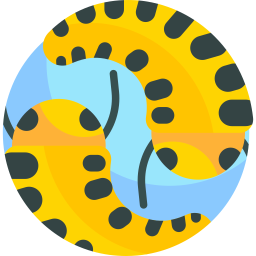 owad Detailed Flat Circular Flat ikona