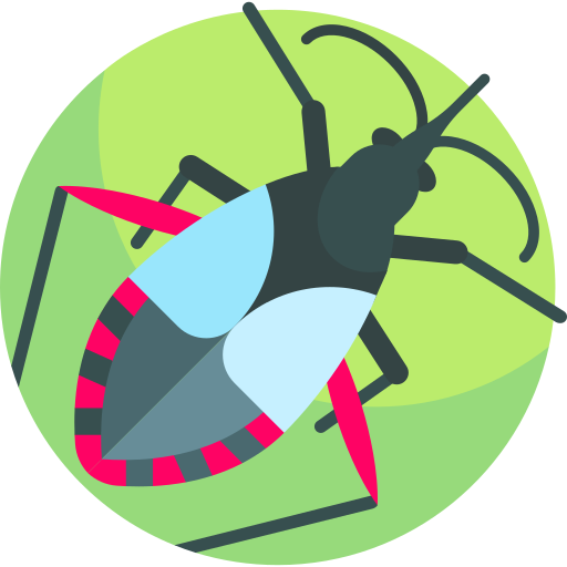 moordenaar bug Detailed Flat Circular Flat icoon