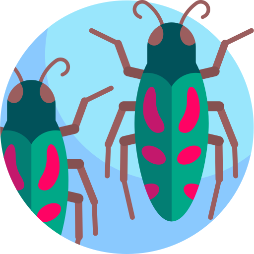 escarabajo buprestid Detailed Flat Circular Flat icono