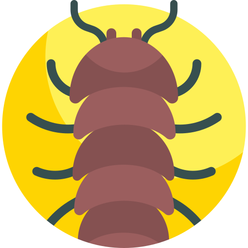 owad Detailed Flat Circular Flat ikona