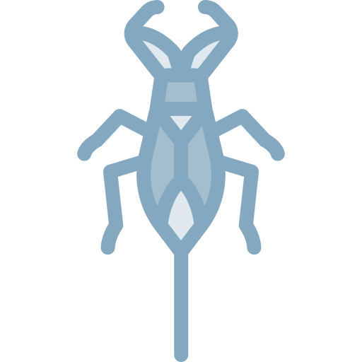 scorpion d'eau Detailed color Lineal color Icône