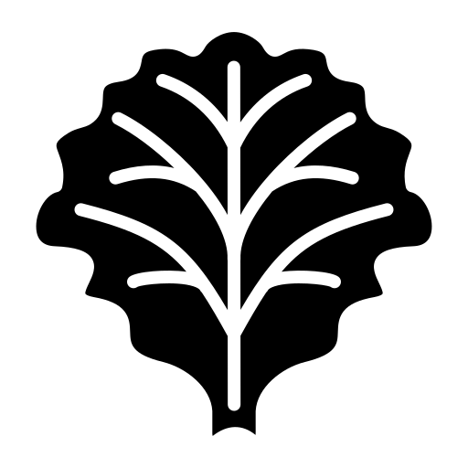 alface Generic Glyph Ícone