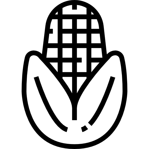 옥수수 Meticulous Line icon