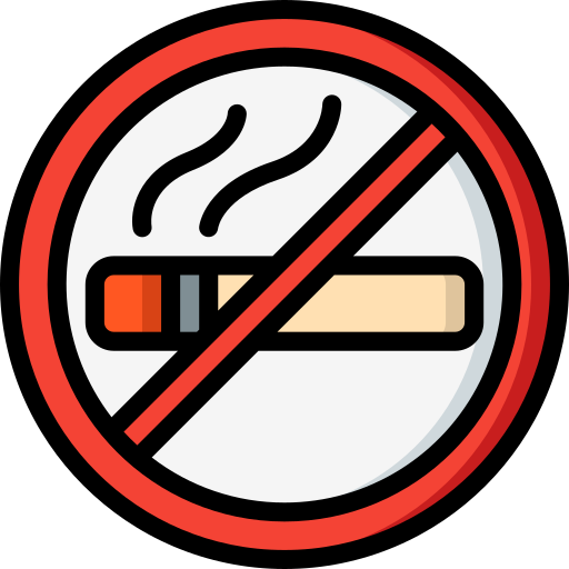 vietato fumare Basic Miscellany Lineal Color icona