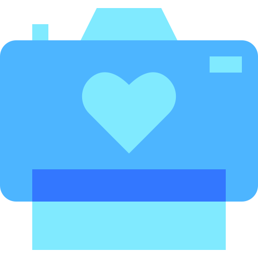 camera Basic Sheer Flat icoon