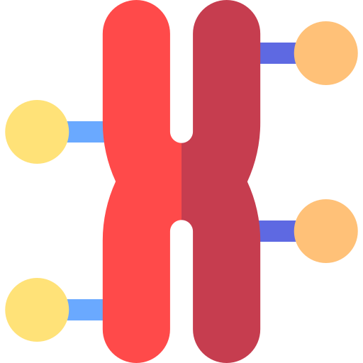 染色体 Basic Rounded Flat icon