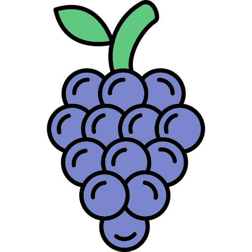 Grapes Generic Thin Outline Color icon