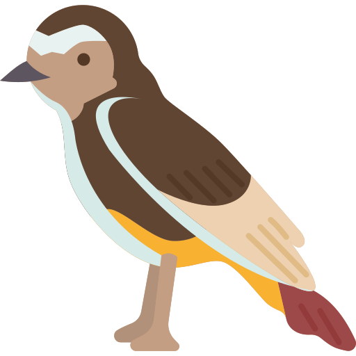 pájaro Amethys Design Flat icono
