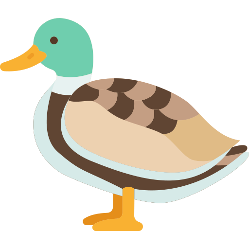 Duck Amethys Design Flat icon
