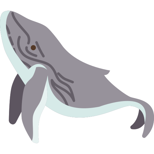 Whale Amethys Design Flat icon