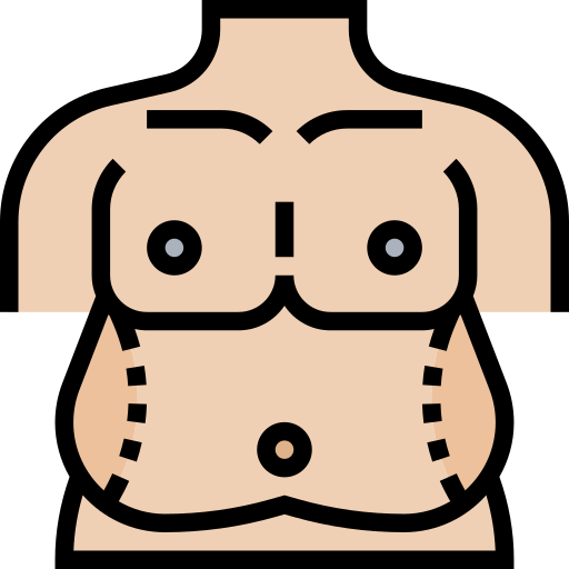 bauch Meticulous Lineal Color icon